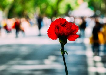 L’Associazione Lombarda Giornalisti in prima fila nel difendere la libertà di stampa