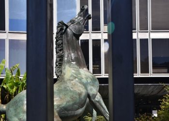 Cpo Fnsi: «In Rai poche donne a dirigere i settori in cui si decide il prodotto»