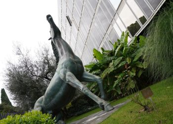 Report, Cdr Approfondimento Rai: «Garantire l’autonomia del giornalismo sulle reti»