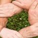 Formazione ALG – Adozione e affido familiare: quale informazione nel rispetto dei diritti