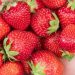 Fragole: gusto, benessere e nutrizione in un solo frutto